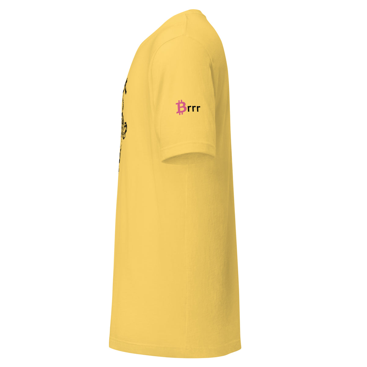 Kanji Bitcoin Predator T-shirt - Bitcoin Merchandise - Japanese Letters - Tiger - Apex Predator - Bitcoin Shirt