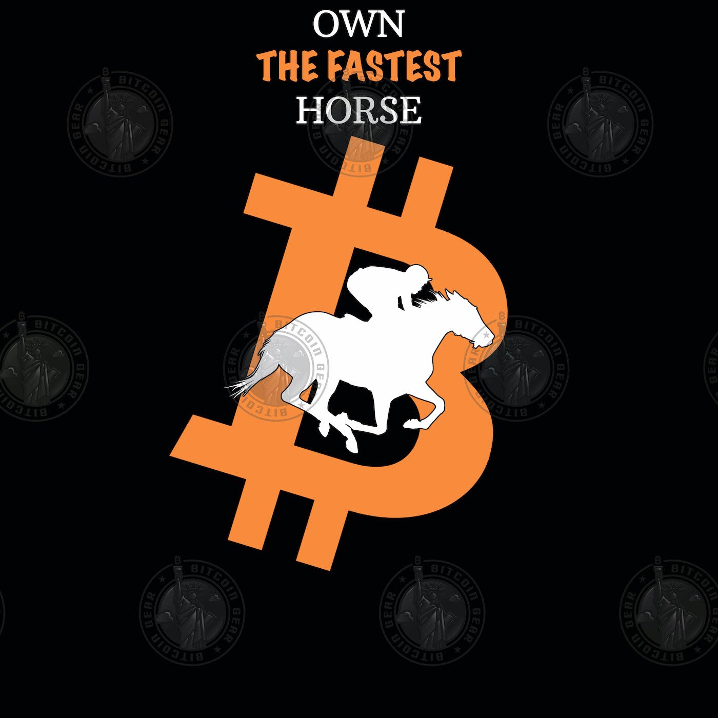 Own The Fastest Horse Bitcoin Hoodie