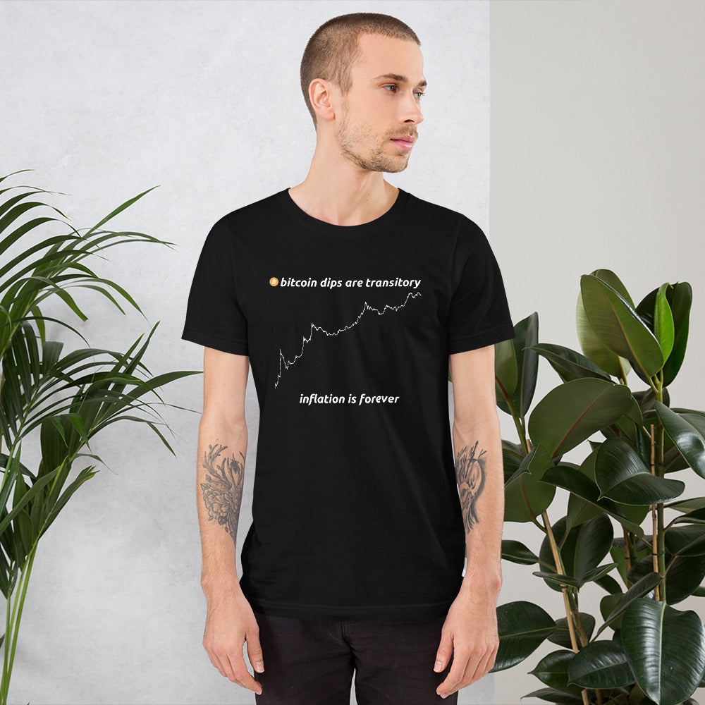 Bitcoin Dips Are Transitory Inflation Is Forever T-Shirt